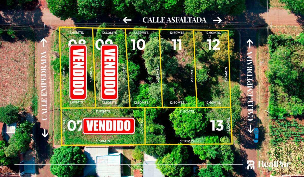 Diseño sin título (34)